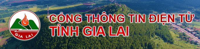 Liên kết website