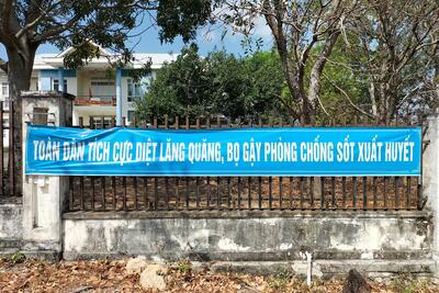 Phòng chống sốt xuất huyết